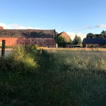 Le Cottage - Maison De 6 A 8 Personnes - La Ferme Du Try Frasnes-lez-Gosselies Bagian luar foto