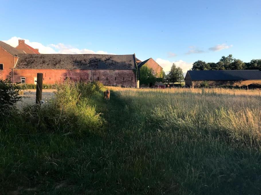Le Cottage - Maison De 6 A 8 Personnes - La Ferme Du Try Frasnes-lez-Gosselies Bagian luar foto