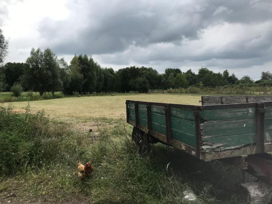 Le Cottage - Maison De 6 A 8 Personnes - La Ferme Du Try Frasnes-lez-Gosselies Bagian luar foto